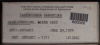 Image Associated With the Occurence